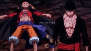 One Piece: Dia selalu melindungi kaptennya!