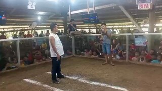 1st fight 2 win ulatan dom win 👋👋👋