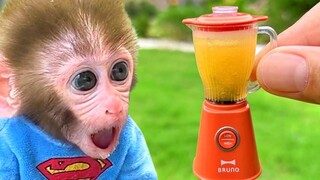 Baby Monkey Bon Bon ดื่มน้ำผลไม้ปั่นและเล่นกับลูกเป็ดและลูกสุนัขในสวนน้ำ