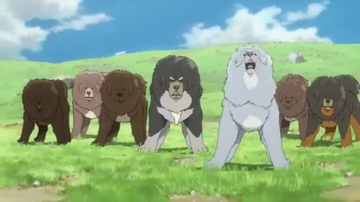 TIBETAN DOG(English version)super Ganda Ng movie NATO