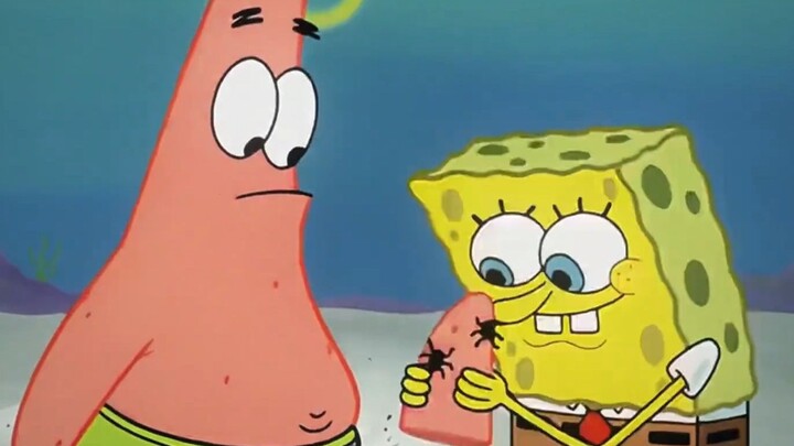 Patrick masih memilih SpongeBob ketika dia rasional
