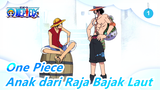 [One Piece] Anak dari Raja Bajak Laut sangat baik_1