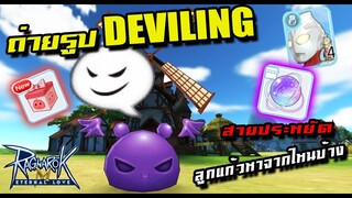 กิจกรรมตามล่า Deviling + ลูกแก้ว อุลตร้าแมนหาจากไหนบ้าง | Ragnarok M Eternal Love