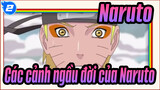 [Naruto] Các cảnh ngầu đời của Naruto Uzumaki_2