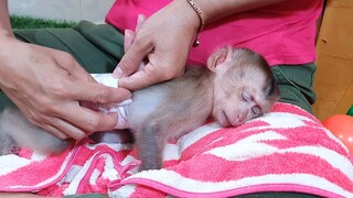 WOW! So Cute Small Lovely Liheang Sleep For Mom Wearing Diaper