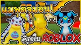 Roblox-Digimon Origins : แมพ ดิจิม่อน จากการ์ตูน ในวัยเด็ก ดีที่สุดในRoblox !?