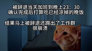 【猫meme】半夜被公司暴力辞退后，66万b友助我精准维权报复