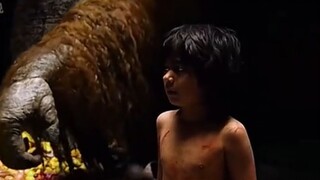 The Jungle Book (2016) เมาคลีลูกหมาป่า