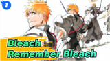Bleach|[Epicness Ahead/Visual Feast]Please remember the name of Bleach_1