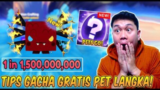 WOW! TIPS GACHA & CARA MENDAPATKAN PET TERLANGKA GRATIS TANPA PAY TO WIN - PETS GO Indonesia