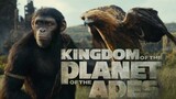 Kingdom of the Planet of the Apes Full Movie Check Description