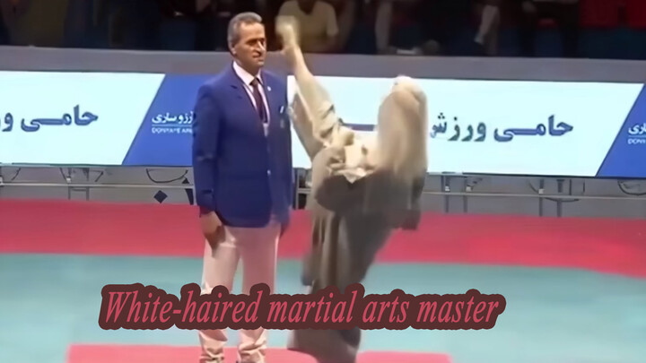 63-Year-Old White-Haired Martial Art Master Makes Foreigner Surrender