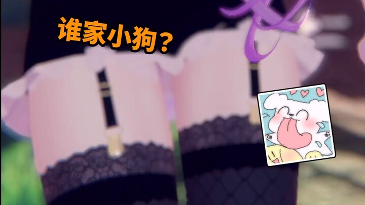 哪里来的小狗狗...找不到路了吗？
