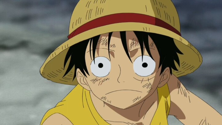 moment ivancov tau fakta tentang ayah luffy😁