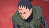 Naruto tidak serius: Shikamaru, jenius terlemah