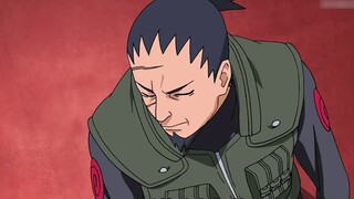 Naruto is not serious: the weakest genius Shikamaru