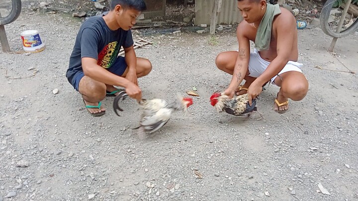 1x winner kanawayon lose in 2nd fight