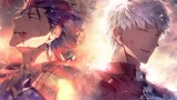 [Fate/Ultimate Burning Direction] A partner of justice VS reality: an ideal called justice