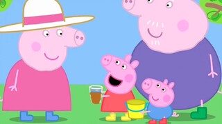 Peppa làm nước hoa cho Ollie! Buồn cười!