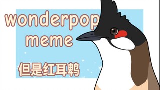 【鸟类meme动画/红耳鹎】wonderpop meme