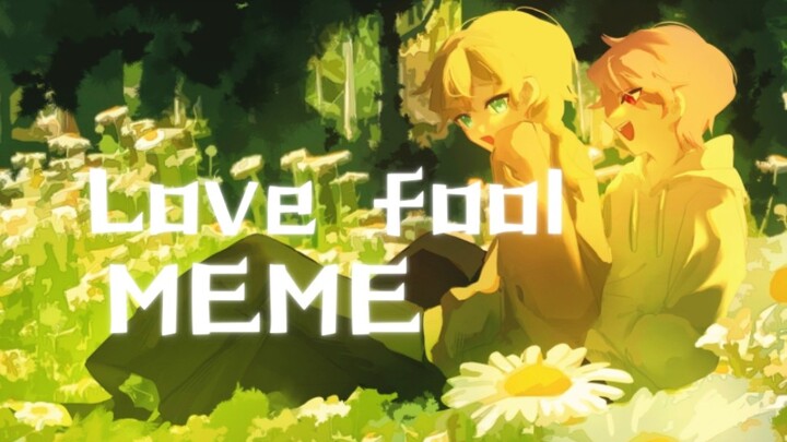 ⚠️【Sichao/MEME】LOVE FOOL