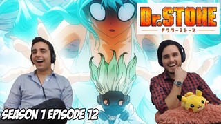 DR. STONE SEASON 1 EP 12 | Brothers Reaction & Review