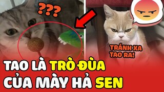 Tuy hơi CỌC nhưng bé nó dỗi trông ĐÁNG YÊU quá các đồng sen nhỉ🥰🥰 | Yêu Lu