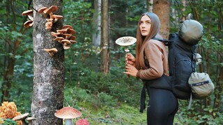 ASMR| Solo trip with Canvas Hot tent in the mushroom woods | Wild camping, cooking, bushcraft skills