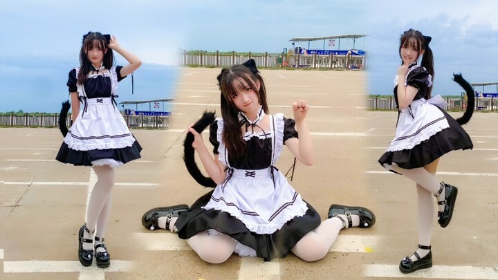 [Midou] Catgirl mặc quần áo hầu gái nhảy đến hòn đảo kho báu mới