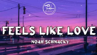 Noah Schnacky - Feels Like Love ( Lyrics )
