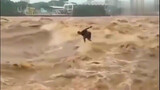 Sports|Surf Through the Flood