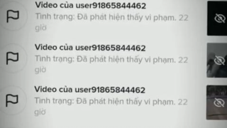 Share Tut Report Acc TopTop (TikTok) Bao Đi Max Speed