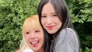 队友助阵！米彩 x TWICE MISAMO新歌挑战！