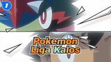 Pokemon|[XY]Koleksi Liga Kalos Turnamen Dojo -Meninjau dalam 5mnt_1