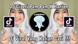 DJ CIPERI PAM PAM X HANSEN VENDI AGUS VIRAL TIK TOK TERBARU 2023 YANG KALIAN CARI !