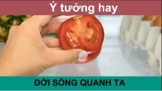 Ý tưởng hay trong cuộc sống