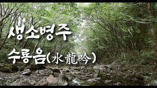 [管弦盲人MV] 第20首生独曲 '水龙音'