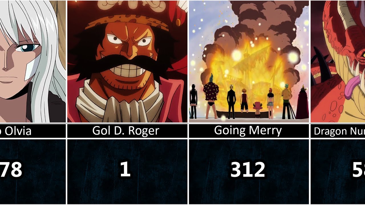 One Piece - merry's death 