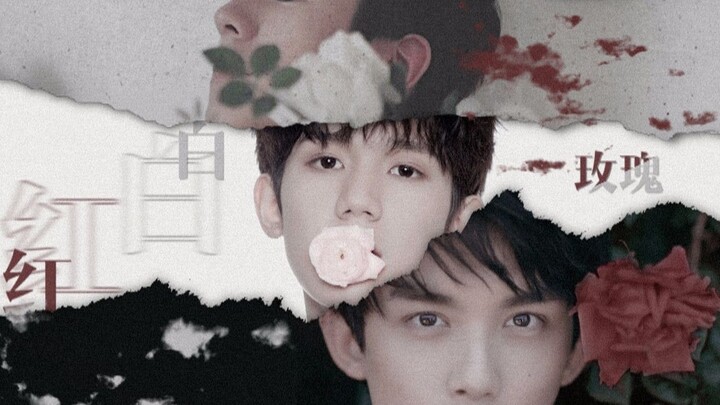 [Wu Lei x Wang Yuan x Liu Haoran] Hoa hồng đỏ và trắng｜Giải trí AU｜Diễn viên x ca sĩ x nhiếp ảnh gia