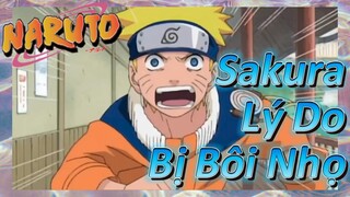 Sakura Lý Do Bị Bôi Nhọ