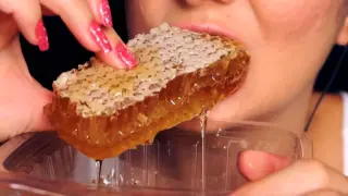 [ASMR] The sound of eating comb honey