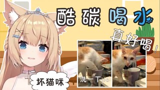 【三分钟看猫猫】酷碳！你在做什么啊！！！！