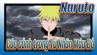 [Naruto]Các cảnh trong Naruto Tù Nhân Máu Đỏ