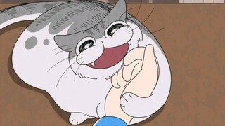 Yoru Wa Neko To Issho Ep21