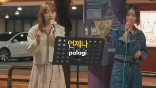 kkorean version /PALAGI🥰🇰🇷🇰🇷