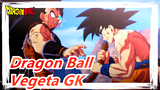 Dragon Ball|Glasses factory MSP Dragon Ball Vegeta colored same as the Anime