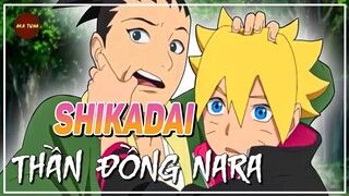 SHIKADAI NARA | THẦN ĐỒNG TRÔNG TRẺ TỘC NARA