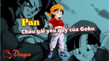 [Hồ sơ nhân vật]. Pan – Cô cháu gái yêu quý của Son Goku trong Dragon Ball GT