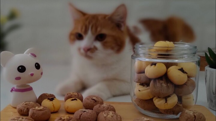 Kucing Bantuin Buat Kue Lebaran