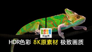 你的屏幕行不行 8KHDR极致画质 杜比音效 体验视觉的盛宴! LG 索尼 高端 OLED 电视屏幕 演示专用